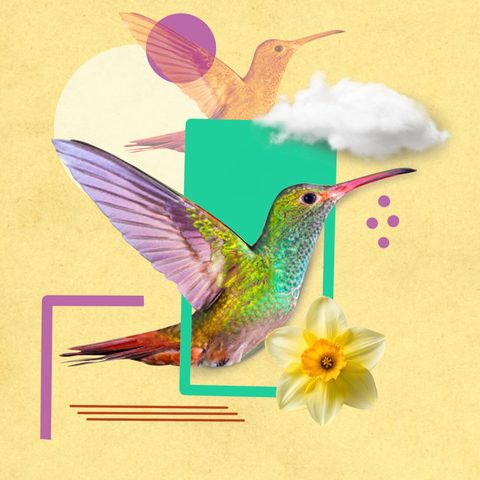 Student digital art project 8 — Artlane Studio