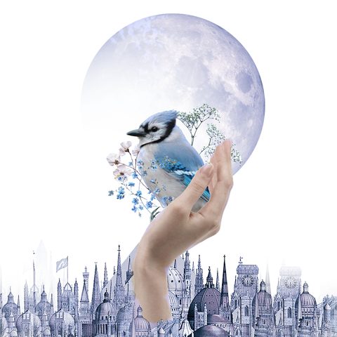 Student digital art project 12 — Artlane Studio